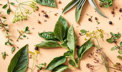 Various herbs and spices on a beige background top view. Basil, thyme, sage and spices flat lay.