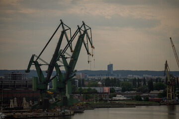 cranes in the port - obrazy, fototapety, plakaty