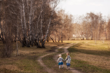 little girls girlfriends holding hands walking through a birch grove