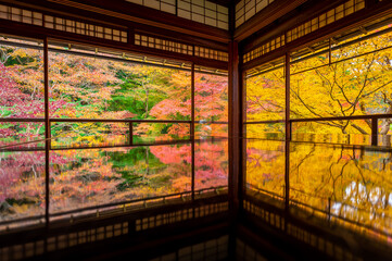 Tranquil scene of Autumn trees 
 in Japanese garden reflects on the floor in Kyoto, Japan