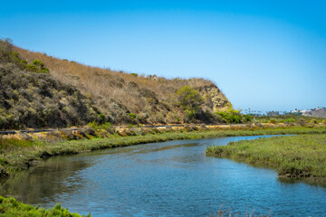 View of Upper Newport Bay wetland in Newport Beach, California
