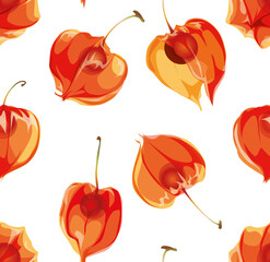 Physalis flowers seamless pattern. Winter Cherry floral texture.
