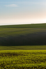 Obraz premium Green Fields in Sussex on a Sunny Spring Evening