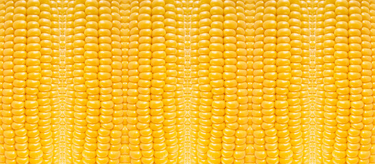 Yellow corn nature pattern, abstract vegetable texture background
