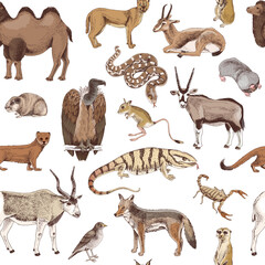 Hand drawn seamless pattern of desert animals