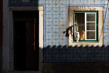 Two cats in a window at the traditional Bica neighbourhood of Bica, in Lisbon, Portugal.