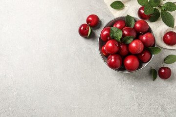Delicious ripe cherry plums with leaves on light table, flat lay. Space for text