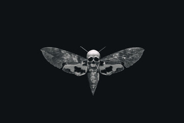 Nachtvlinder met schedel. Monochrome vlinder met doodssymbool. Insect of gotisch cultuurconcept.