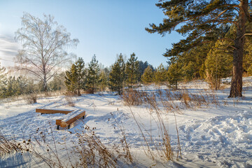 A place to rest in the forest on a frosty winter sunny day. Wooden benches among the trees.