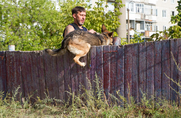 Dog training. A German Shepherd dog in training. The dog trains against the background of tall city houses.