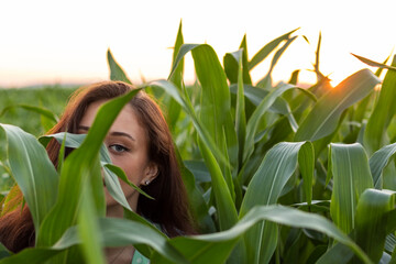 Close-up portrait of a young beautiful sensual woman in a corn field at sunset. Backlight.