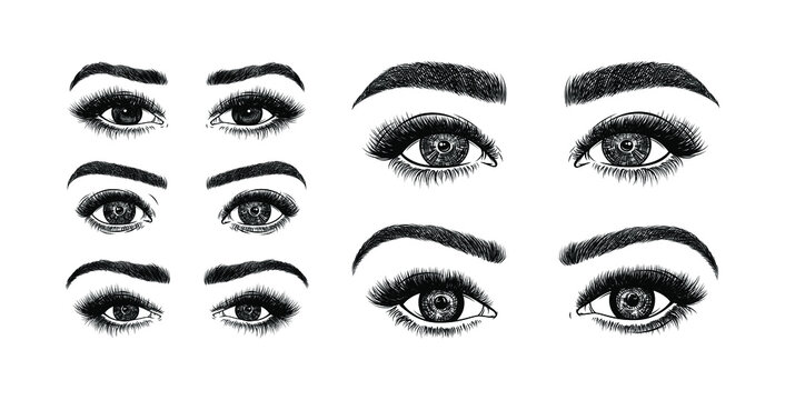 Hand Drawn Woman's Makeup Look With Shaped Eyebrows and Full Lashes. Idea for Salon Logo, Poster, and other. Vector Illustrations.