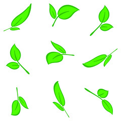 Leaves of flower. Tree leaves. Green leaves. Pattern. number2