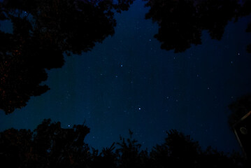 night sky in the backyard