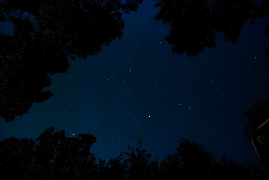 Night Sky In The Backyard