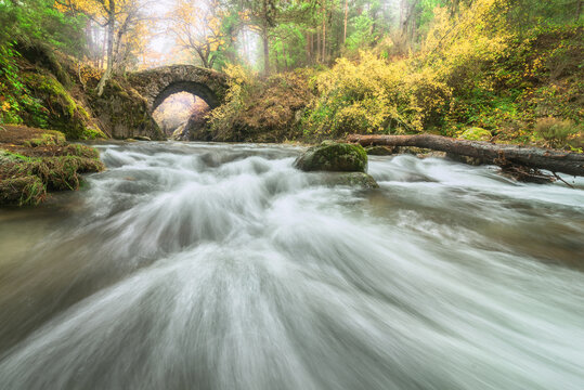 River with fast water flows between autumn trees
