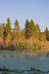 Obraz premium Astotin Lake in the Evening
