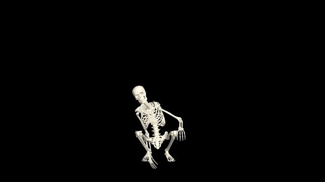 Dancing Skeleton 3D. 3D Skeleton Dance Animation. Skeleton 3D dance. Transparent background.