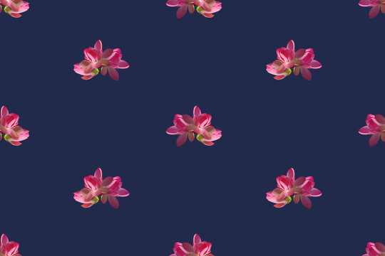 Seamless pattern with pink lotus flowers on a blue background.