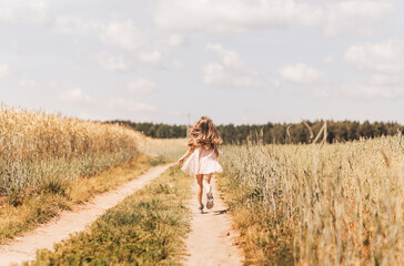 A little girl runs through a wheat field. Rear view. Follow to cute happy child