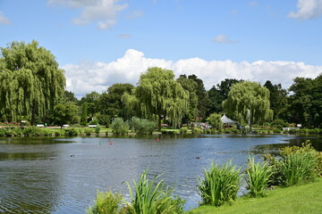 Teichanlage im Rosarium Uetersen Rosengarten, Schleswig-Holstein, Deutschland im Sommer