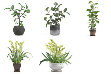 3d rendering of flowers and ornamental plants in pots
