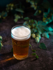 A glass of craft beer, dry hopped light beer, green cones wild hops