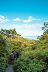 Pessoas fazendo trilha em meio a mata verde - Paisagem natural