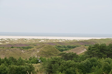 Fototapeta na wymiar Panorama über die Dünen und Strand auf der Insel Amrum