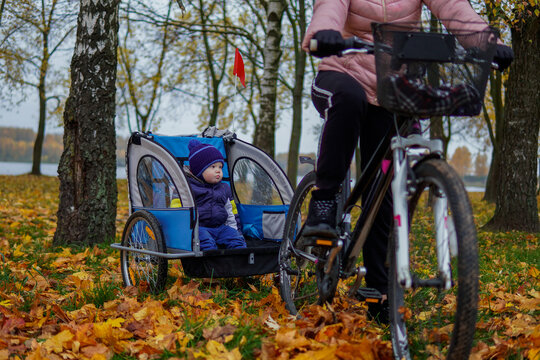 mom go on a bike and transport her son to a children bike trailer in the autumn.