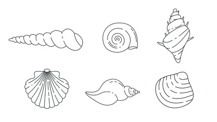 Seashells outline elements collection. Aquatic shells, snails line isolated set. Different ocean creatures in contour design.