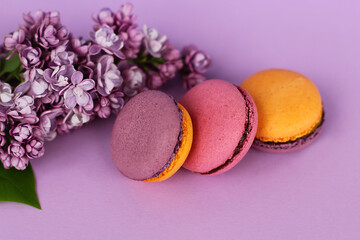 Close up three french colorful cakes macarons and lilac flowers on violet background