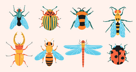 Insects simple elements collection. Meadow bugs and beetles flat isolated set. Different flies in trendy flat design. © SickleMoon