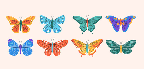 Fototapeta na wymiar Butterflies elements collection. Colorful meadow wildlife isolated set. Different summer insects in trendy flat design.