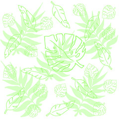 Seamless spring pattern and frames with tropical leaves, flowers and plants. Vector illustration.