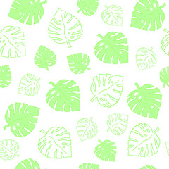 Seamless spring pattern and frames with tropical leaves, flowers and plants. Vector illustration.