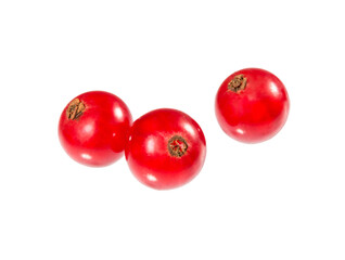 Red Currant berries.