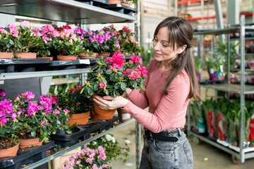 Caucasian beautiful woman choosing pink flowerplant in pot in nursery. Female person buying house plant for home in garden center. Planting season concept