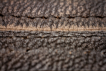 Leather texture