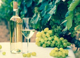 still life with glass of White wine grapes on table in field - obrazy, fototapety, plakaty