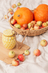 Autumn still life in warm colors, cottage aesthetics. A pot of honey, pumpkin and apples in a wicker basket on a natural fabric. Farm products, organic vegetables and fruits, rural life. Thanksgiving.