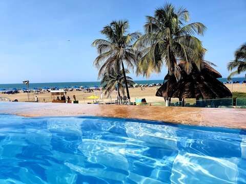 pool with trees