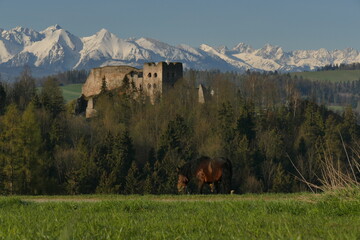 landscape in the dolomites © Karolina