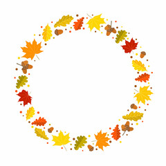 Autumn round frame made from hand-drawn foliage. Yellow and orange leaves of maple and oak, oak acorns. Template or blank for fall decor. Vector illustration.