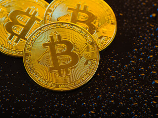 Three gold bitcoins on a dark brown background. High angle view. Close-up. An increasingly popular cryptocurrency. Exchange, purchase, sale, investment.