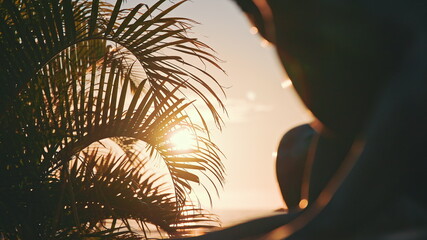 The leaves of a coconut tree sway in the wind against the blue sky at sunset. Incredibly beautiful sunset at Waikiki Beach, Oahu, Hawaii.