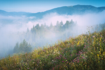 Grassy hill in a misty mountains