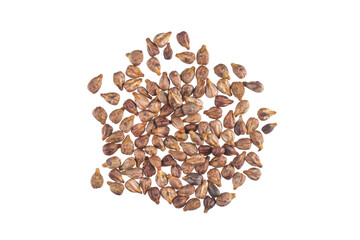 Grape seeds isolated on white background.