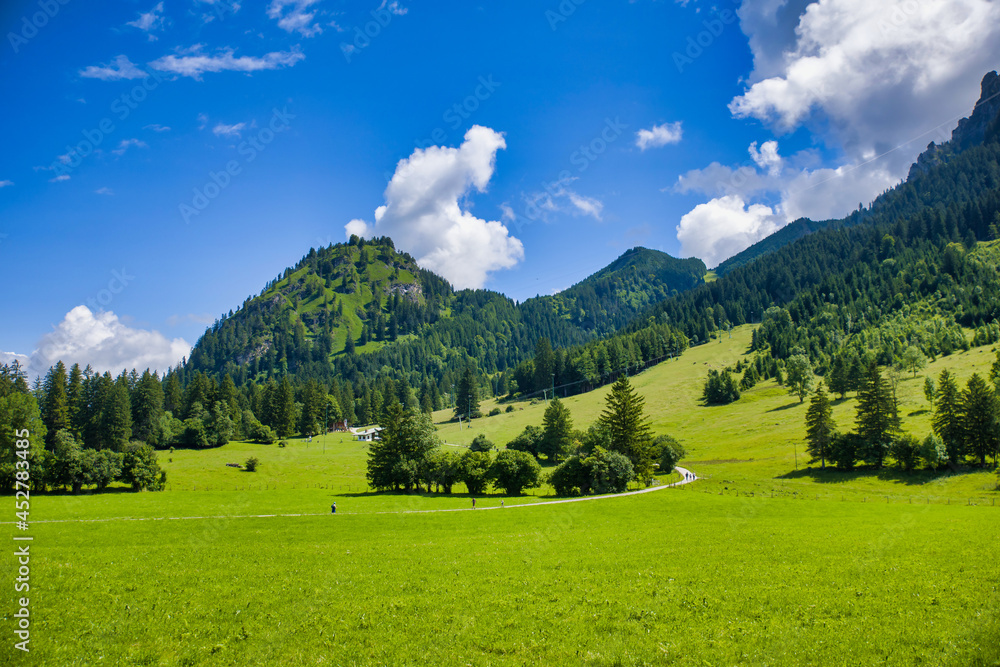 Wall mural a lush meadow in the prealps with mountains