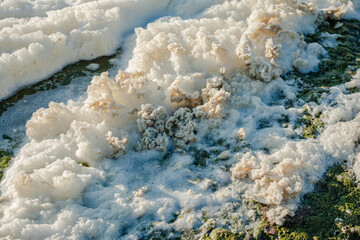 metaphiton a community of organisms, algae, bacteria, detritus, invertebrates and fungi. Converted components to foam. Formation processes in the seas and reservoirs